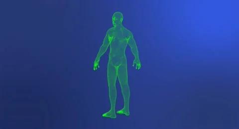 Plexus Human Stock Footage 154130107