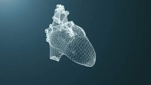 Plexus of the points of the heart. Stock Footage 91937030