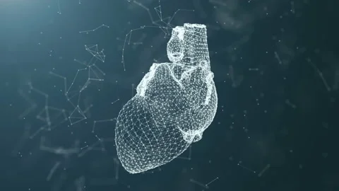 Plexus of the points of the heart. Stock Footage 91983941