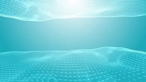 Plexus Sea Video stock 78542734