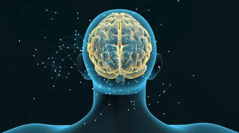 Plexus structure evolving around human brain Illustration
