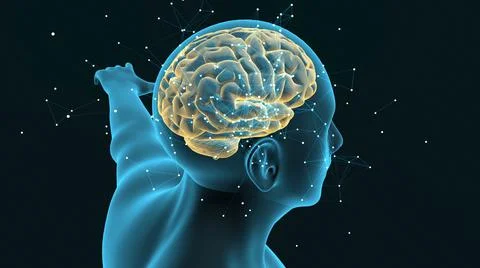 Plexus structure evolving around human brain Stock Illustration