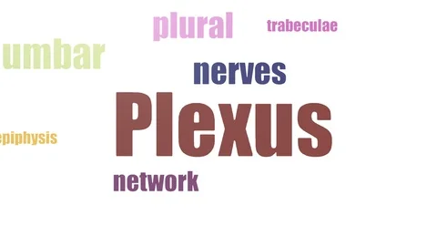 Plexus Tag Cloud Animated Isolated 動画素材 107227860