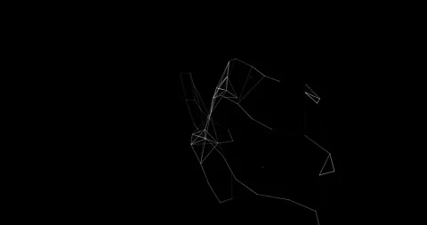 Plexuses6 Stock Footage 304282611