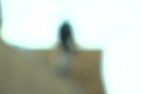 PLG Full Run Stock Footage 153029