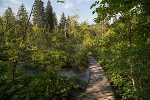 Plitice in croatia Stock Photos
