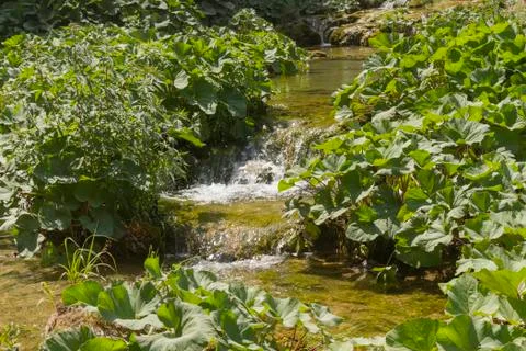 Plitvice cascade Stock Photos