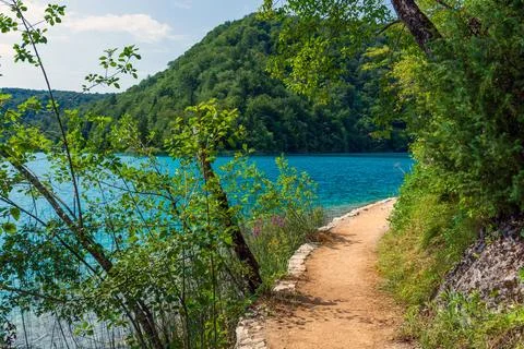 Plitvice lakes in Croatia, beautiful summer landscape with turquoise water Stock Photos