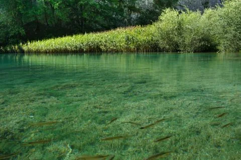 Plitvice lakes Stock Photos