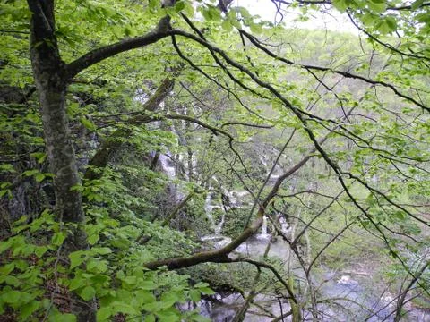 Plitvice Lakes 写真素材