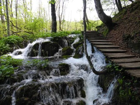 Plitvice Lakes Stock Photos