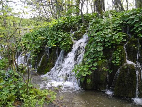 Plitvice Lakes 写真素材