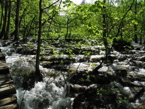Plitvice Lakes Stock Photos