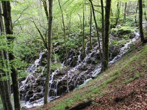 Plitvice Lakes 写真素材
