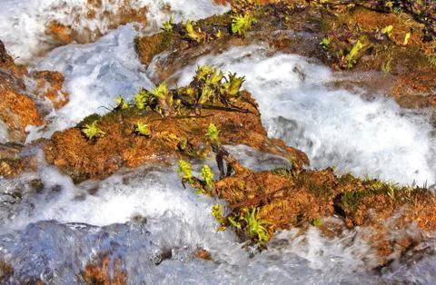 Plitvice lakes Stock Photos