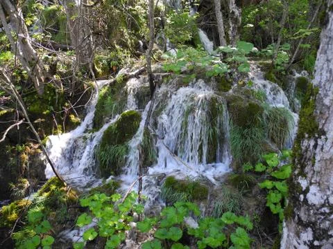 Plitvice Lakes waterfall 写真素材