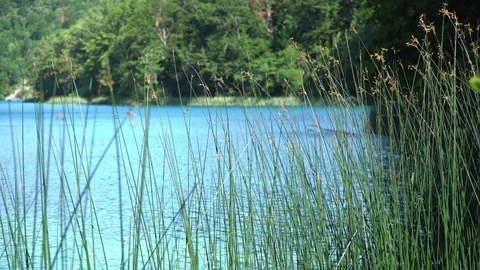 Plitvicka Jezera Stock Footage 78858142