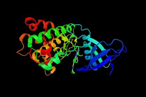 PLK3, an enzyme which may play a role in regulation of cell cycle progressi.. Stock Illustration
