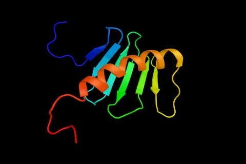 PLK4, an enzyme which regulates centriole duplication during the cell cycle.. Stock Illustration