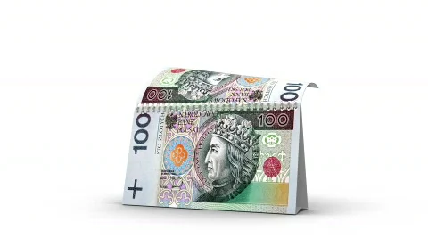 PLN Calendar Video stock 594955