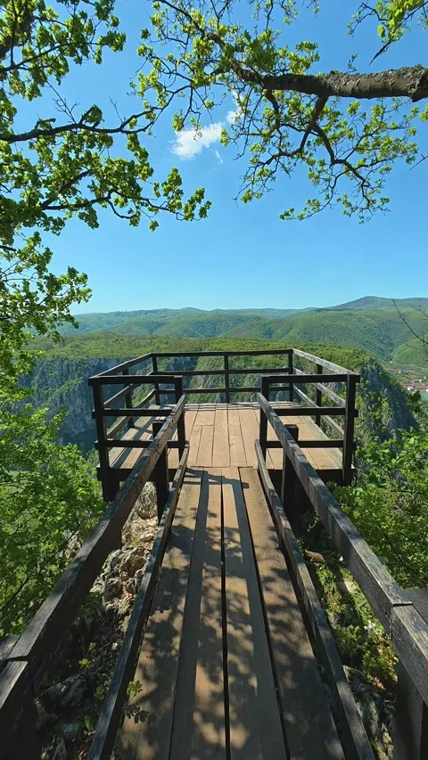 Ploce viewpoint. Sunlight filters through leaves. Balkan, Eastern Europe, POV 库存影片 333634940