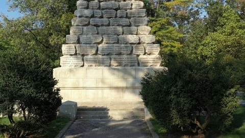 PloCloseView Stock Footage 117053093