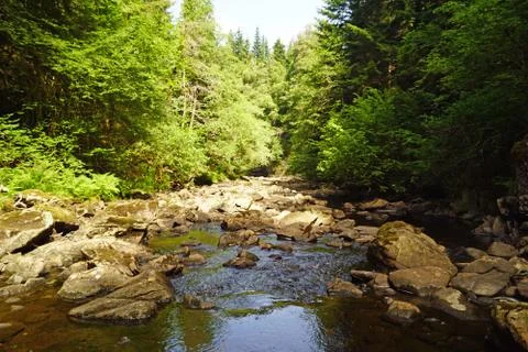 Plodda Falls Stock Photos