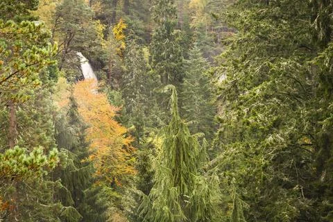 Plodda Falls waterfall in forest landscape, Scotland, UK Stock Photos