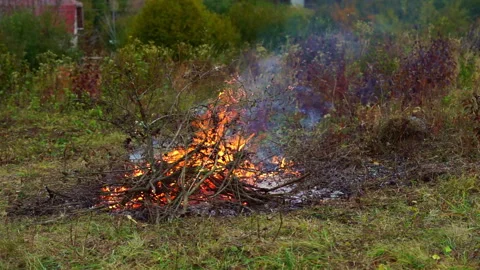 Plot cleaning and burning out dry branches in a bonfire. Slow motion Stock Footage 256654465