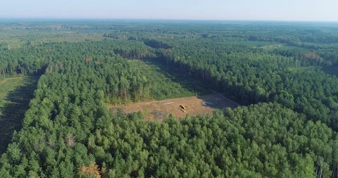 Plot of cut forest from the air, logging top view, panorama of the cutting down Stock Footage 106457092