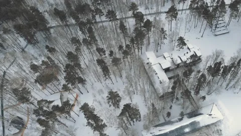 A plot in the forest in which a mysterious mansion is hidden whose roofs are Stock Footage 151444008
