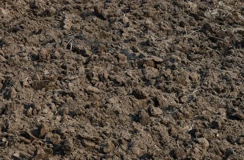 A plot of freshly excavated land. Stock Photos