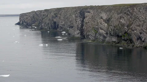 Plot  giant 15 km, 220 thousand guillemots seashore bird colony  Southern island Stock Footage 55124071