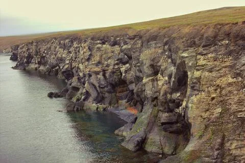 Plot of giant (15 km, 220 thousand guillemots) seashore bird colony on Sou... Fotos de archivo