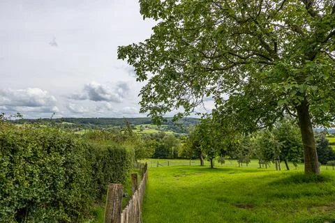 Plot with green grass and trees with panoramic Dutch agricultural landscape Stock Photos