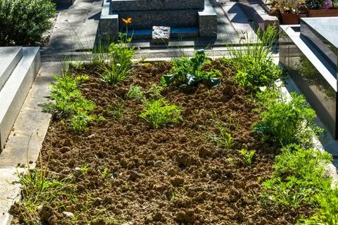 Plot of land in a cemetery to a new grave closeup on plot of land in a cem... Foto stock