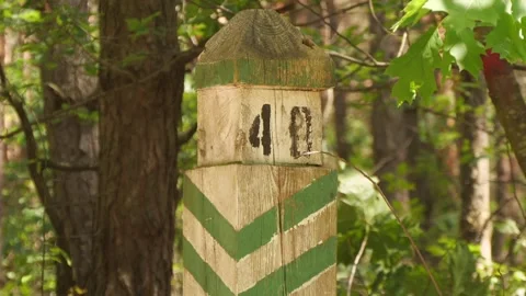 Plot number in the forest Vídeos de archivo 311331899