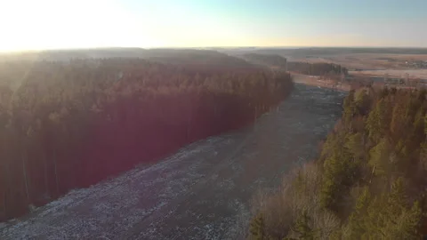 Plot with poles with high voltage power lines in picturesque forest in late Stock Footage 130178699