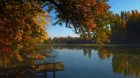 Plotagraph - autumn lake with foggy elements Stock Footage 100794648