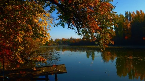 Plotagraph - autumn lake with spakling lights Stock Footage 100792956