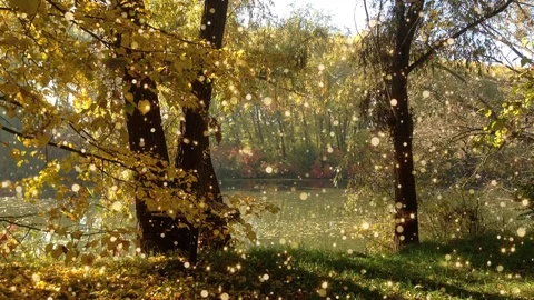 Plotagraph - autumn lake with spakling lights Stock Footage 100793916