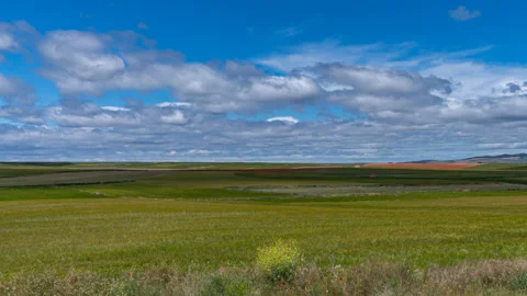 Plots during spring season under the cloudy sky time lapse Vídeo Stock 155378374