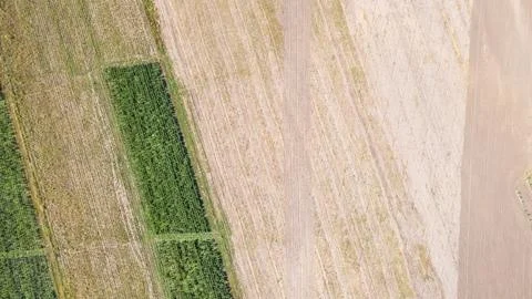 Plots of plowed fields 스톡 사진
