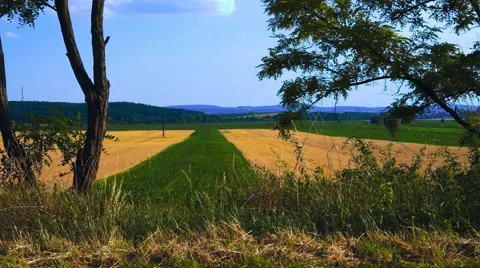 Plough Field II. Stock Footage 50633863