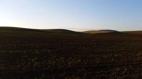 Plough Field in Sunset 4K Stock Footage 49970932
