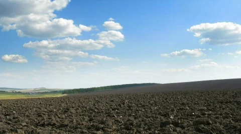 Plough-land. loop.  Stock Footage 727915