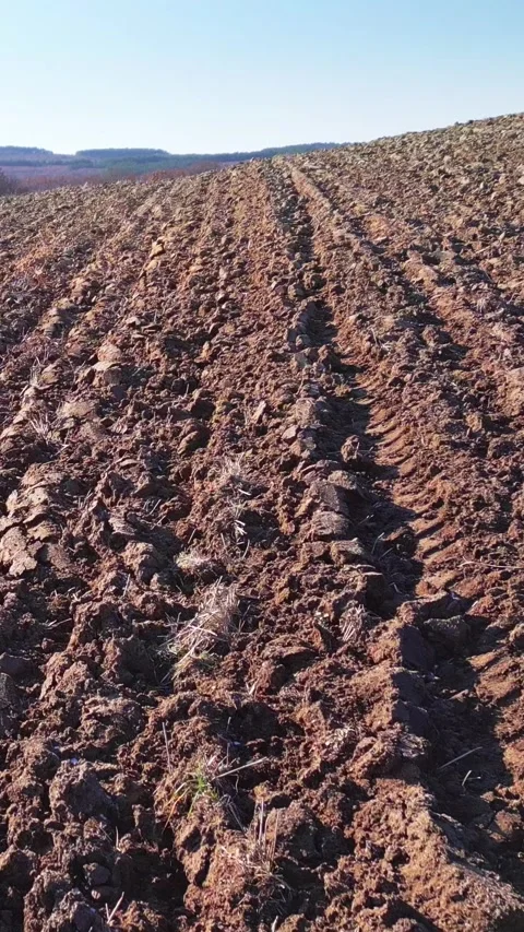 Ploughed field and blue sky skyline, close up, vertical short video Stock Footage 283344717