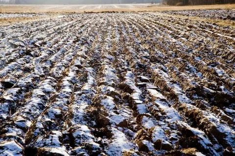 Ploughed field Stock Photos