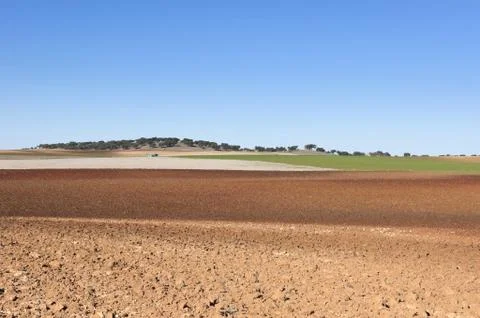 Ploughed field Stock Photos