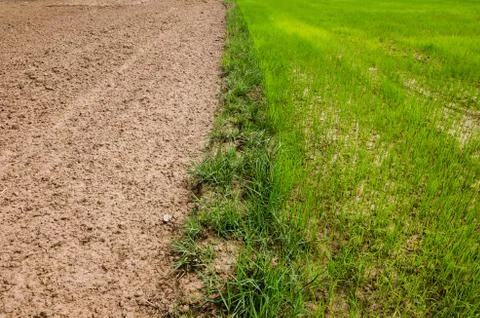 Ploughed field Stock Photos